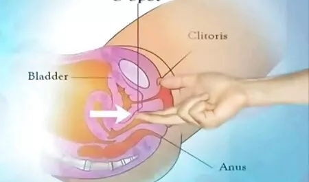 Tranny Juliana Mel được một khuôn mặt các diễn viên sex nhật bản